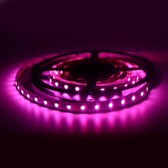 Tira de LED 24V-DC 96W 12mm RGBW IP20 (SMD5050) Rollo 5 metros