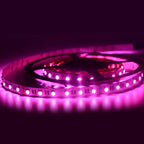 Tira de LED 24V-DC 96W 12mm RGBW IP20 (SMD5050) Rollo 5 metros
