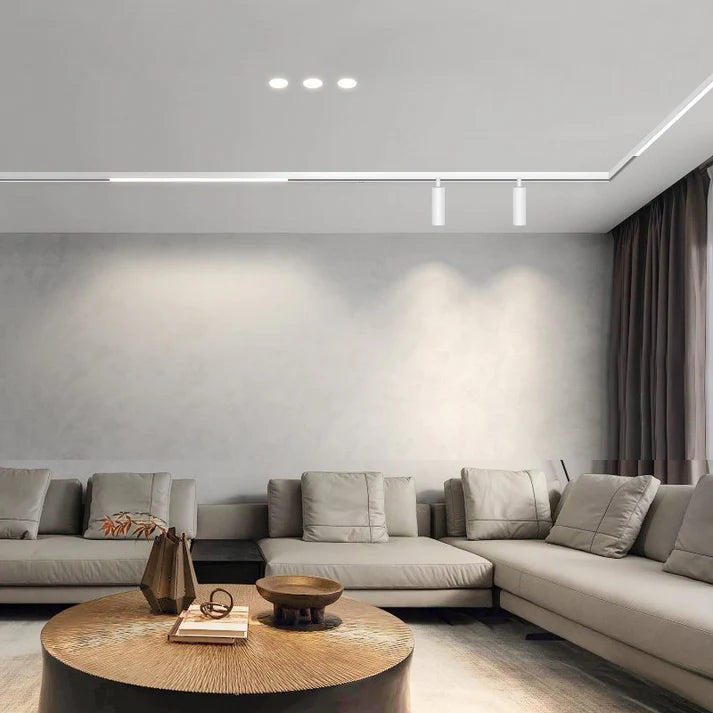 Carril magnético 20mm de superficie 48V - 2 metros