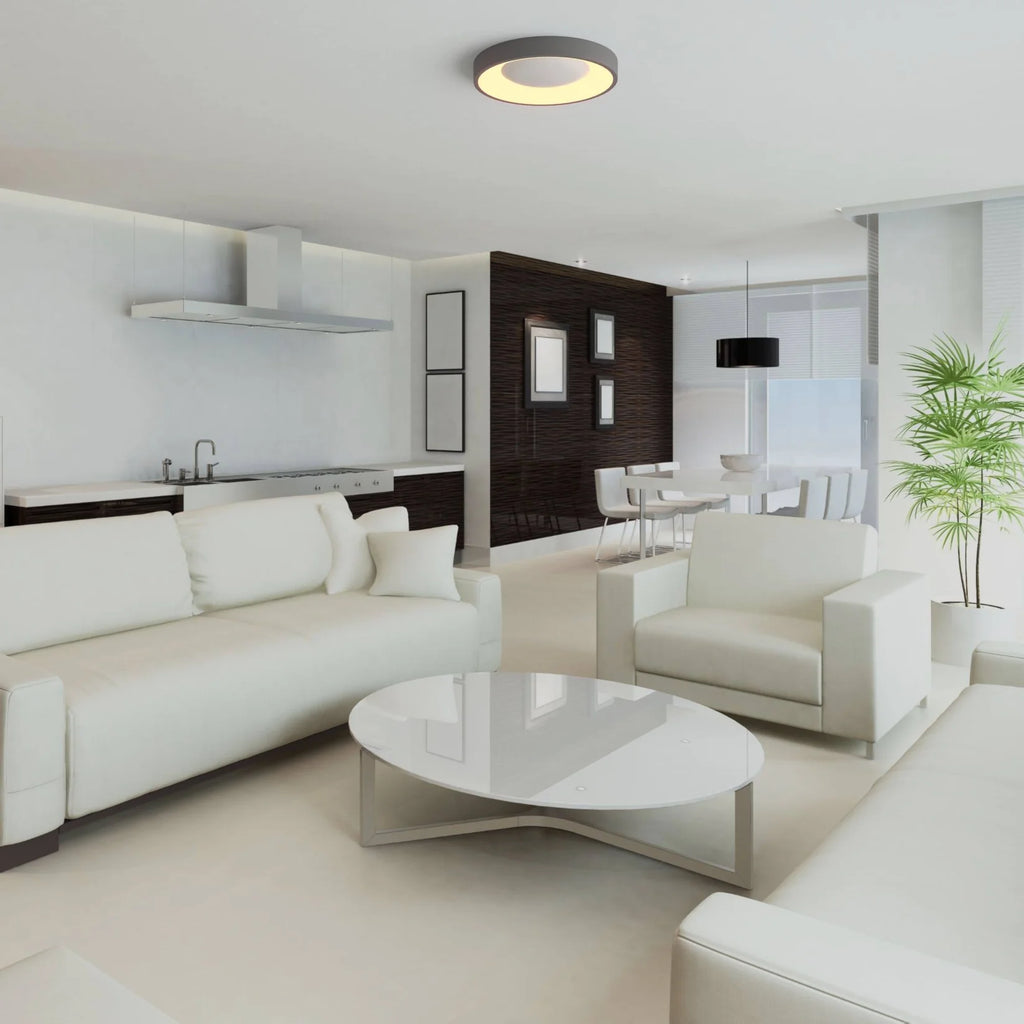 Plafón LED techo 36W - CCT - Driver Philips - ø50cm - IP20