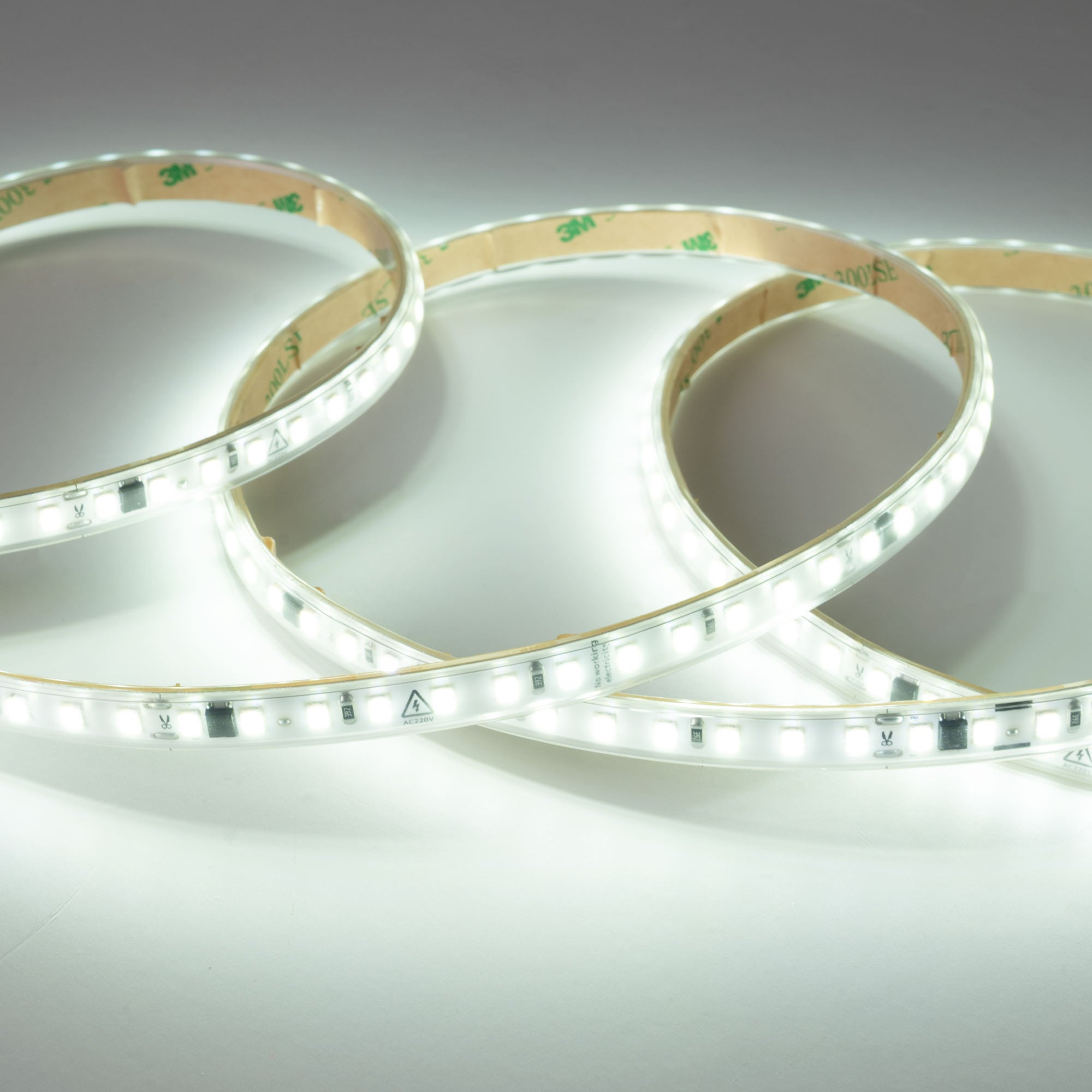 Tira LED 220V AC - Monocolor - 8W/m - 10mm - IP65 - 5 metros - 120ch/m (2)