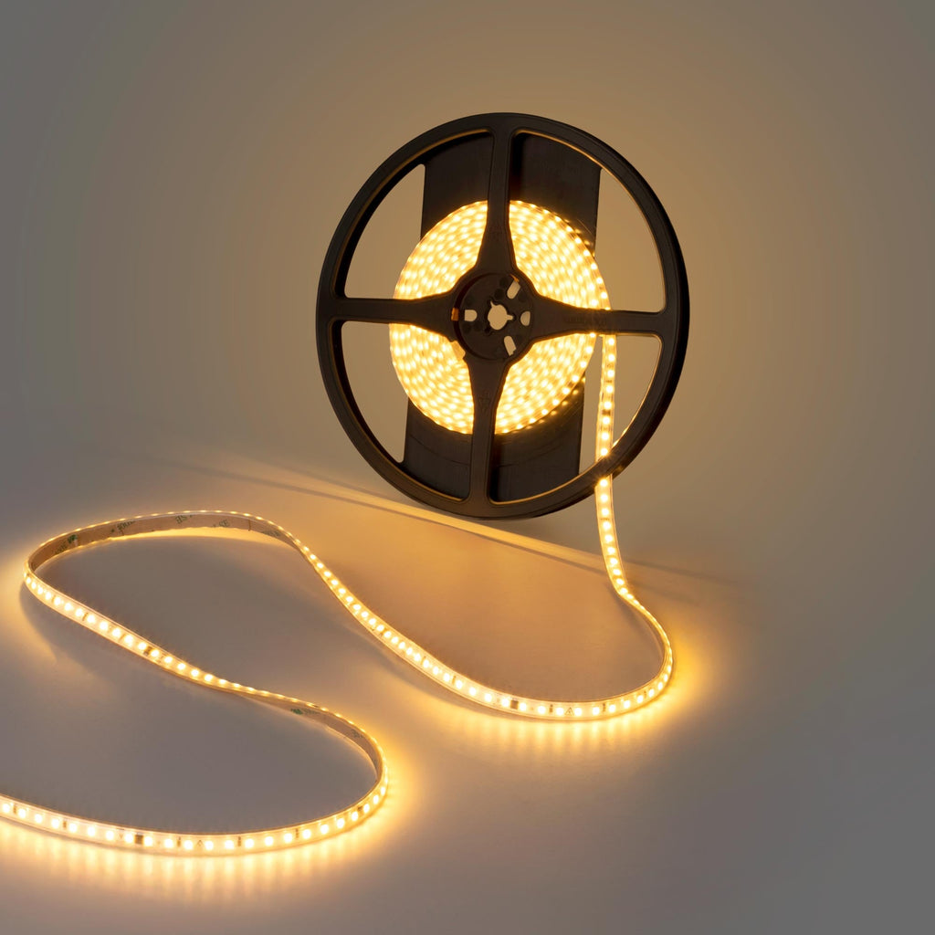 Tira LED 220V AC - Monocolor - 8W/m - 10mm - IP65 - 5 metros - 120ch/m (1)