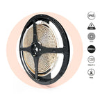 Tira LED 220V AC - Monocolor - 8W/m - 10mm - IP65 - 5 metros - 120ch/m