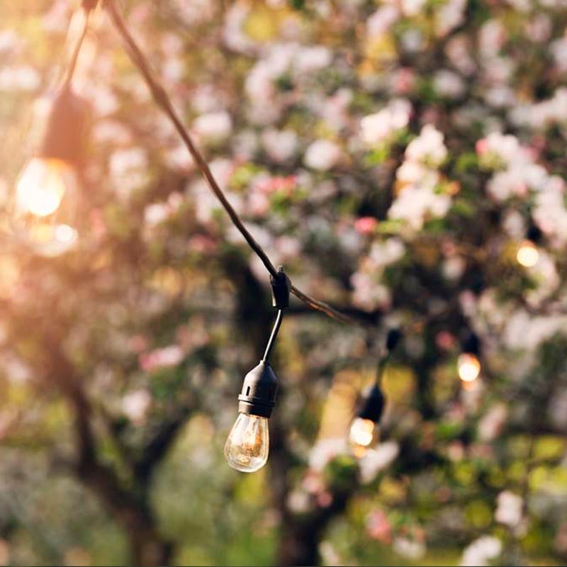 Bombilla LED E27 S14 Transparente de 1W