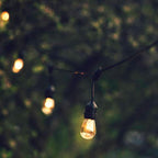 Bombilla LED E27 S14 Transparente de 1W