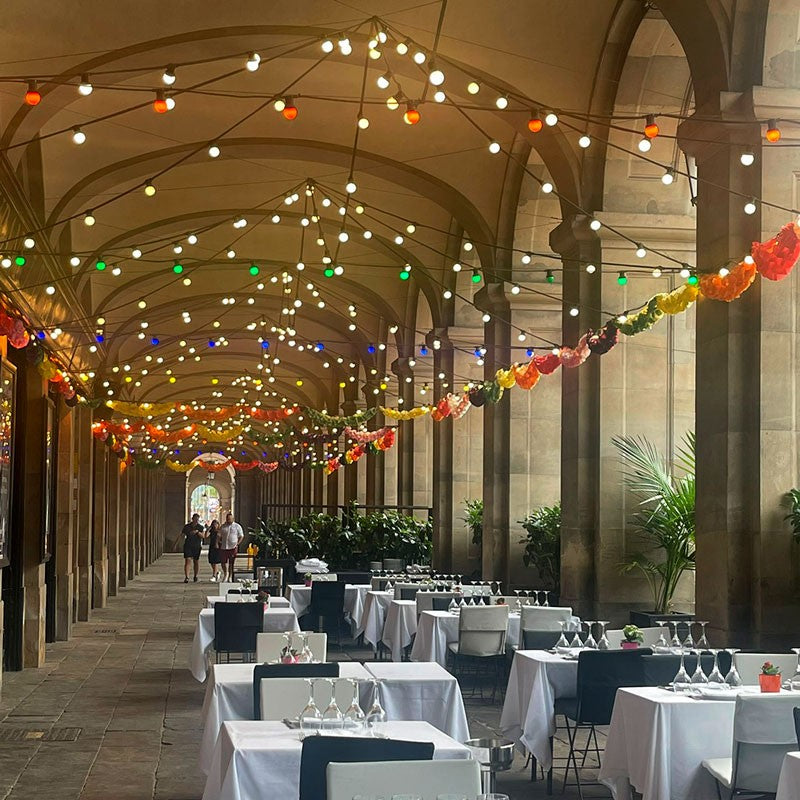 Guirnalda Exterior conectable en serie IP44 6,5m con 10 casquillos E27