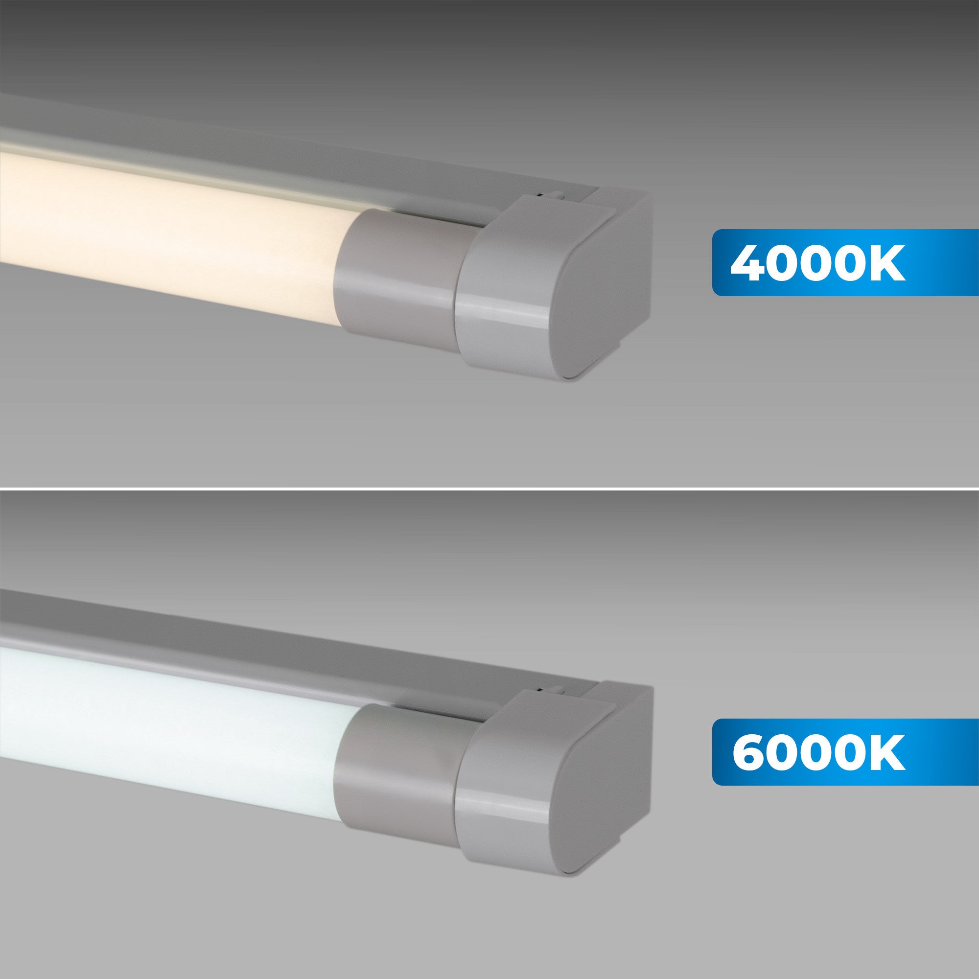 Kit regleta portatubos + tubo LED T8 - 24W - 150cm