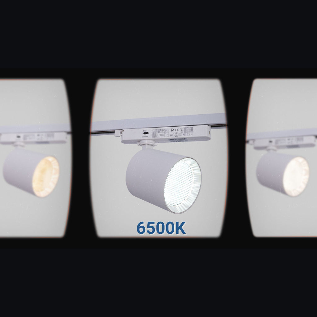 Proyector LED para carril monofásico CCT - 40W - CRI 90 - Blanco